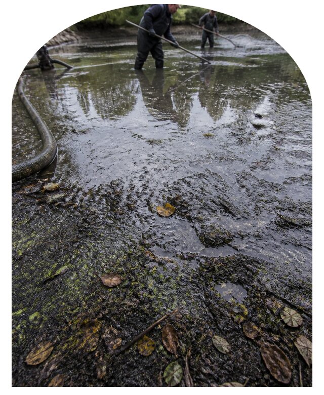 Очистка пруда в Ростове от ила мусора и водорослей с вывозом
